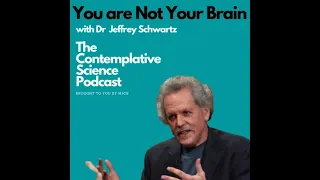 You are Not Your Brain