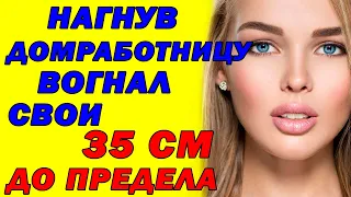 Хитрая невеста и любимая домработница.