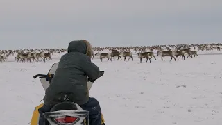 Caribou hunting in Canada's Arctic (Arviat, Nunavut)