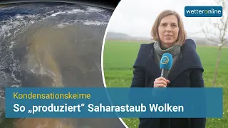 So "produziert" Saharastaub Wolken