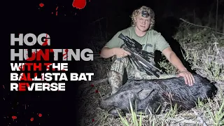 Hog Hunting with The Ballista Bat Reverse