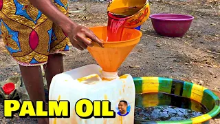 PURE PALM OIL PRODUCTION At Triple-A Healthy Harvest Farm - 🇸🇱 Episode 4 - Farming In Sierra Leone