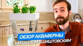 Обзор Аквафермы с Михаилом Кшиштовским