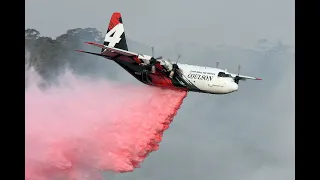 3 Americans dead after firefighting water bomber crashes in rural Australia