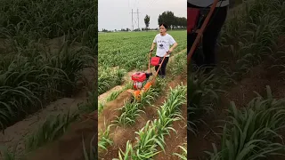 Machines plowing tractors super power #satisfying #plowing