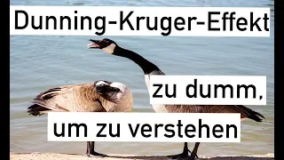 Der DUNNING-KRUGER-EFFEKT oder zu dumm, um zu verstehen