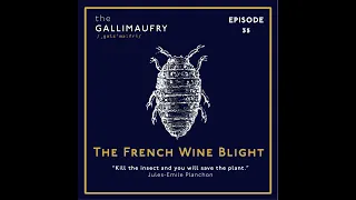 The French Wine Blight: How wine was saved