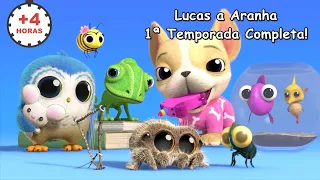 Lucas a Aranha em Português BR | 1ª Temporada Completa! | Compilação de 4 Horas | Desenhos Animados