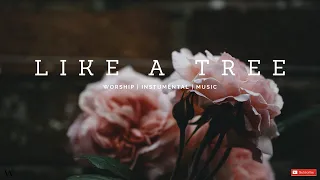 2 Hours-Instrumental Worship Music | LIKE A TREE | Prophetic Worship | Prayer and Meditation