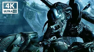 Alien vs Predator Fight Scene - Aliens vs Predator Game 4k 60FPS Ultra HD