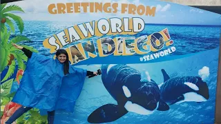 Sea world San Diego|Sea lion,Dolphin,Orca(killer whale)show & Water Rides