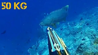 Catching Big Grouper 110 Lbs||Panah Kerapu Kertang 50 Kg