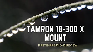 The Tamron 18-300mm F/3.5-6.3 for FujiFilm First Impressions review. The best budget all-round lens?