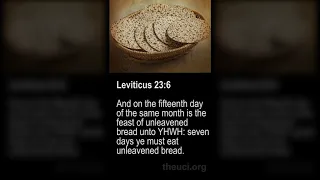 Holy Days in the Bible in 5 Minutes