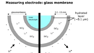 Webinar recording: pH measurements made easy – Basics of potentiometric pH measurements