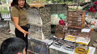 Chợ chim Yên Phúc,Hà Nội / bird market Việt Nam