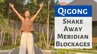 SHAKE AWAY MERIDIAN BLOCKAGES / QIGONG