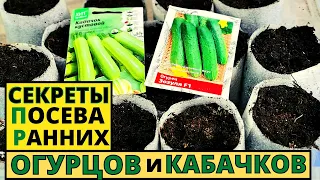 Хотите рано кушать ОГУРЧИКИ и КАБАЧКИ? Тогда мои секретики посева и выращивания вам помогут