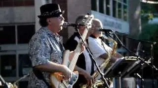 Concerts on the Green: Big Dog Revue - July 9, 2013