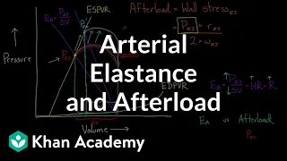 Arterial elastance (Ea) and afterload | Circulatory system physiology | NCLEX-RN | Khan Academy