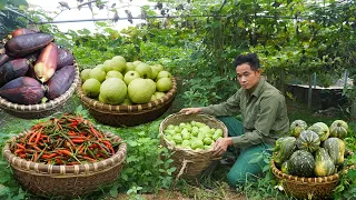 FULL VIDEO: 60 days of harvesting potatoes, squash, banana, guava, chili, to the market to sell