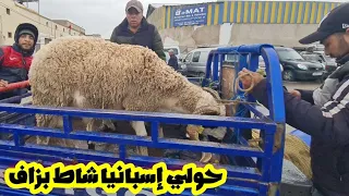 حولي إسبانيا شاط بزاف فسوق أحد فاس بن سودة 2024/04/28