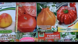ТОМАТЫ, которые НЕ ПОДВЕЛИ в 2019 г. Сорта томатов.ТопСАд.