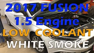 2017 Fusion 1.5 Engine, Low Coolant, White smoke from the exhaust, misfires, running rough.
