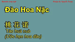 Karaoke (Nữ) - 桃花诺 - Đào Hoa Nặc  旺仔小乔 (伴奏 Am + Tone Nam C#)m Tao hua nuo