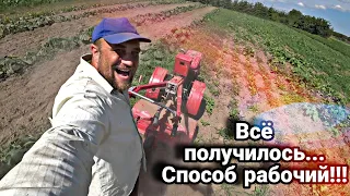 Химии не нужно и сорняка больше не будет // Спас поле от бурьяна и получил отличный урожай.