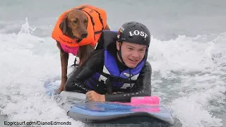 First ever surf therapy dog inspires world! Kleenex alert