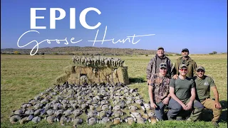 EPIC Goose Hunting in South Africa | صيد الوز في جنوب افريقيا