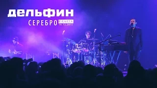 Дельфин | Dolphin  - Серебро (Акустика live)