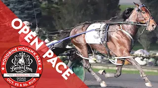 2019 Breeders Crown - American History - Open Pace