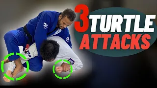 3 Ways to Finish From Turtle Position ( Every White Belt MUST Know)