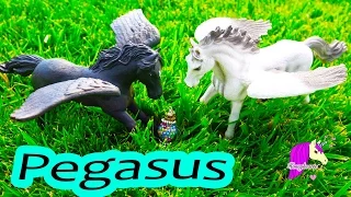 Healing  Pegasus Series Part 4