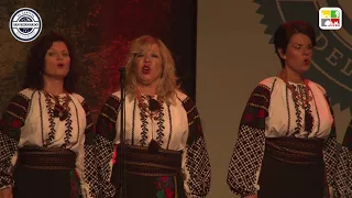 Melos Folk Ensamble en 47º Festival Nacional del Folklore de San Bernardo