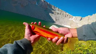 Golden Trout on Jigs at Cottonwood Lakes 4 & 5 (John Muir Wilderness, Eastern Sierra)