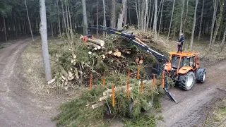 Sturmholz zusammenräumen