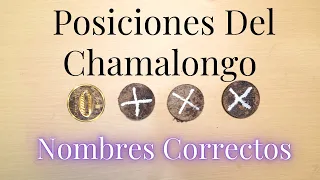 Posiciones Del Chamalongo Nombres Correctos | Palo Monte