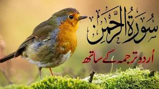 Surah Rahman With Urdu Translation full | Ep - 041 - | Qari Al Sheikh Abdul Basit Abdul Samad (2023)