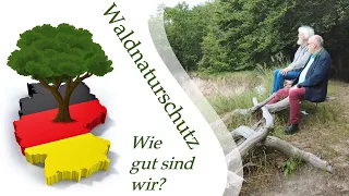 Ist Deutschland Vorreiter im Waldnaturschutz? - Interview mit Prof. Knapp auf Vilm