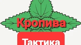 Кропива - тактика