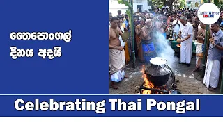 Celebrating Thai Pongal