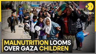 Israel-Hamas war: Over 10,000 children at risk of severe malnutrition: UNICEF | WION World News