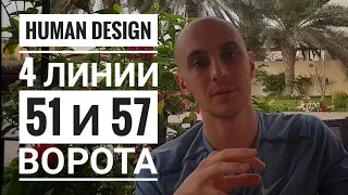 Дизайн Человека 51.4 и 57.4 ворота. Обзор транзитов. Даниил Трофимов. Human Design