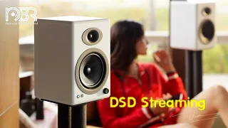 DSD Music Streaming - Audiophile Music Collection 2020 -  Audiophile NBR STORE