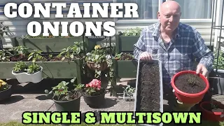 Container Onions Single & Multisown