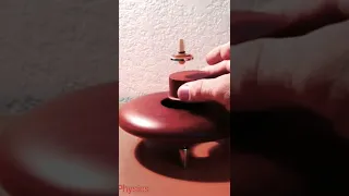 Levitron spinning top. Nice example of electromagnetic physics.