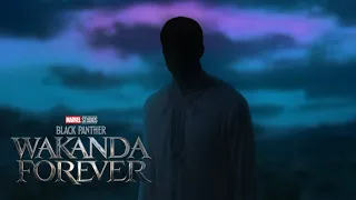 FAN MADE | Chadwick Cemeo - Black Panther: Wakanda Forever
